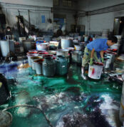 Dye Factory in Shaoxing