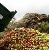 news-food-waste-dumping-1.jpg